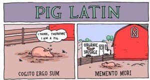 Quand un cochon illustre des proverbes en latin...