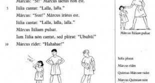 1979-2014 : histoire d’un échec de l’apprentissage de la langue latine