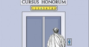 Fiche synthétique : le Cursus Honorum