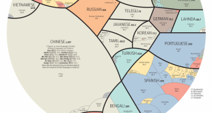 Infographie : un monde de langages