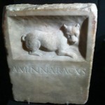 The petrified Muse / Epitaphes canines