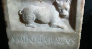 The petrified Muse / Epitaphes canines