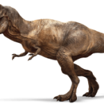 Projet Voltaire / Du tricératops au vélociraptor : connaissez-vous la signification des noms de dinosaures ?