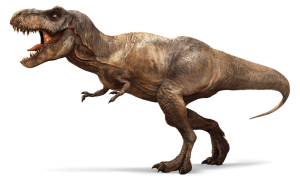 Projet Voltaire / Du tricératops au vélociraptor : connaissez-vous la signification des noms de dinosaures ?