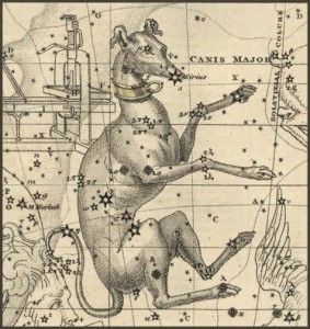 La toge et le Glaive : un temps de chien, la canicule