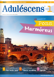 Adulescens #33.1 : De Veronae ponte marmoreo et de garo