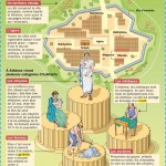 Ressource : L’organisation de la cité grecque