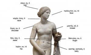 Ancient Greek Picture Dictionary