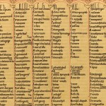 Les méthodes d’apprentissage du latin pour hellénophones du 2è et 6è s. sont plus rigolotes que ce que l’on pourrait croire !