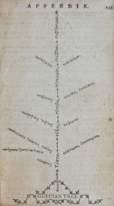 (ressource) L'arbre de la conjugaison grecque