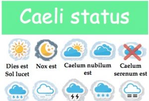Affiche pour la classe : Caeli Status
