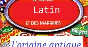 Le latin et les marques -un jeu d'initiation
