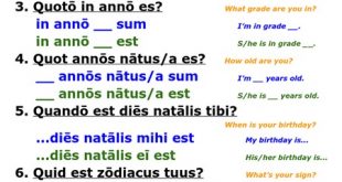 Discipulus Illustris : Un jeu de questions-réponses en latin pour apprendre à faire connaissance.