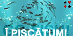I piscatum, présentation d'un jeu de cartes en latin