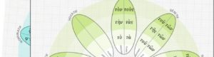 Grammaire, langue, exercices