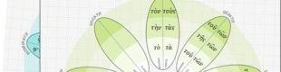 Grammaire, langue, exercices