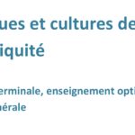Projet de programme pour la classe terminale , enseignement optionnel