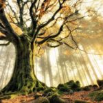 Ce que la cosmologie celte a encore à nous dire – 22-02-2017