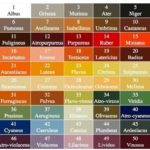 Le nom des couleurs en latin