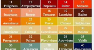 Le nom des couleurs en latin