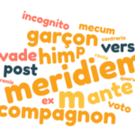 Vestiges des cas latins dans les langues française et anglaise
