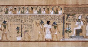 Histoire du livre- Épisode 1 : Généalogie du livre, à l’origine était le papyrus