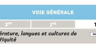 De nouvelles ressources pour le cours de spécialité en terminale