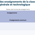 Lycée général : organisation des enseignements après la réforme