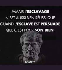 Non, cette citation sur l'esclavage n'est pas d'Aristote et ne reflète pas sa pensée