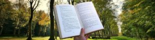 Étymologie d'un mot ou d'une expression