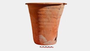 Des toilettes portables romaines vieilles de 1 500 ans découvertes grâce à des œufs de parasites