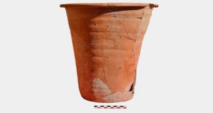 Des toilettes portables romaines vieilles de 1 500 ans découvertes grâce à des œufs de parasites