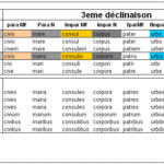 Le gars et le garçon : les vestiges des déclinaisons du français