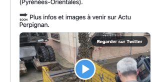 EN IMAGES. Quel est ce vestige archéologique exceptionnel découvert près de Perpignan ?