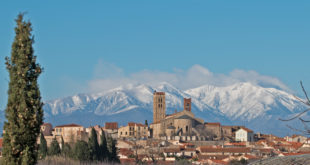 Pyrénées-Orientales : trois autres sarcophages antiques découverts et extraits à Elne