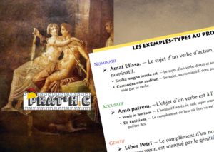 Prat'hic #17 : L’apprentissage de la morphologie verbale et nominale à travers les exemples-types