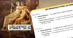 Prat'hic #17 : L’apprentissage de la morphologie verbale et nominale à travers les exemples-types