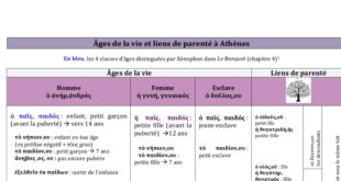 Fiche synthétique _ Âges de la vie et liens de parenté à Athènes