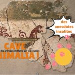 EXPO Cave animalia ! Connaître les animaux de Rome par les sources _ anecdotes insolites