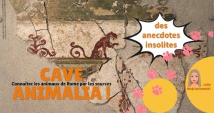EXPO Cave animalia ! Connaître les animaux de Rome par les sources _ anecdotes insolites