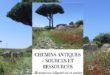 Chemins antiques, sources et ressources : le nouveau site de Nadia Pla