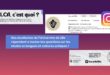Zoom sur le compte Instagram du département LCA de l’Université de Lille : des étudiantes au service de la promotion des LCA