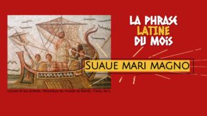 La phrase latine du mois : Suaue mari magno