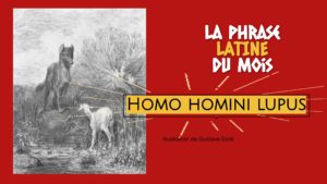 La phrase latine du mois : Homo homini lupus