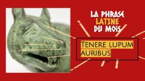 La phrase latine du mois : Tenere lupum auribus