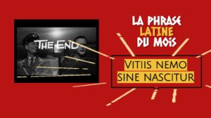 La phrase latine du mois : Vitiis nemo sine nascitur