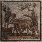 Agriculture